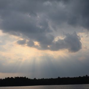 Meet your Posher, Brooklyn